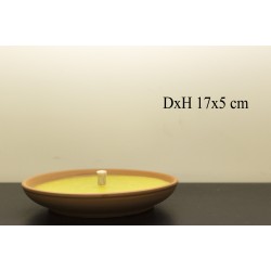 Coconut lemongrass 17